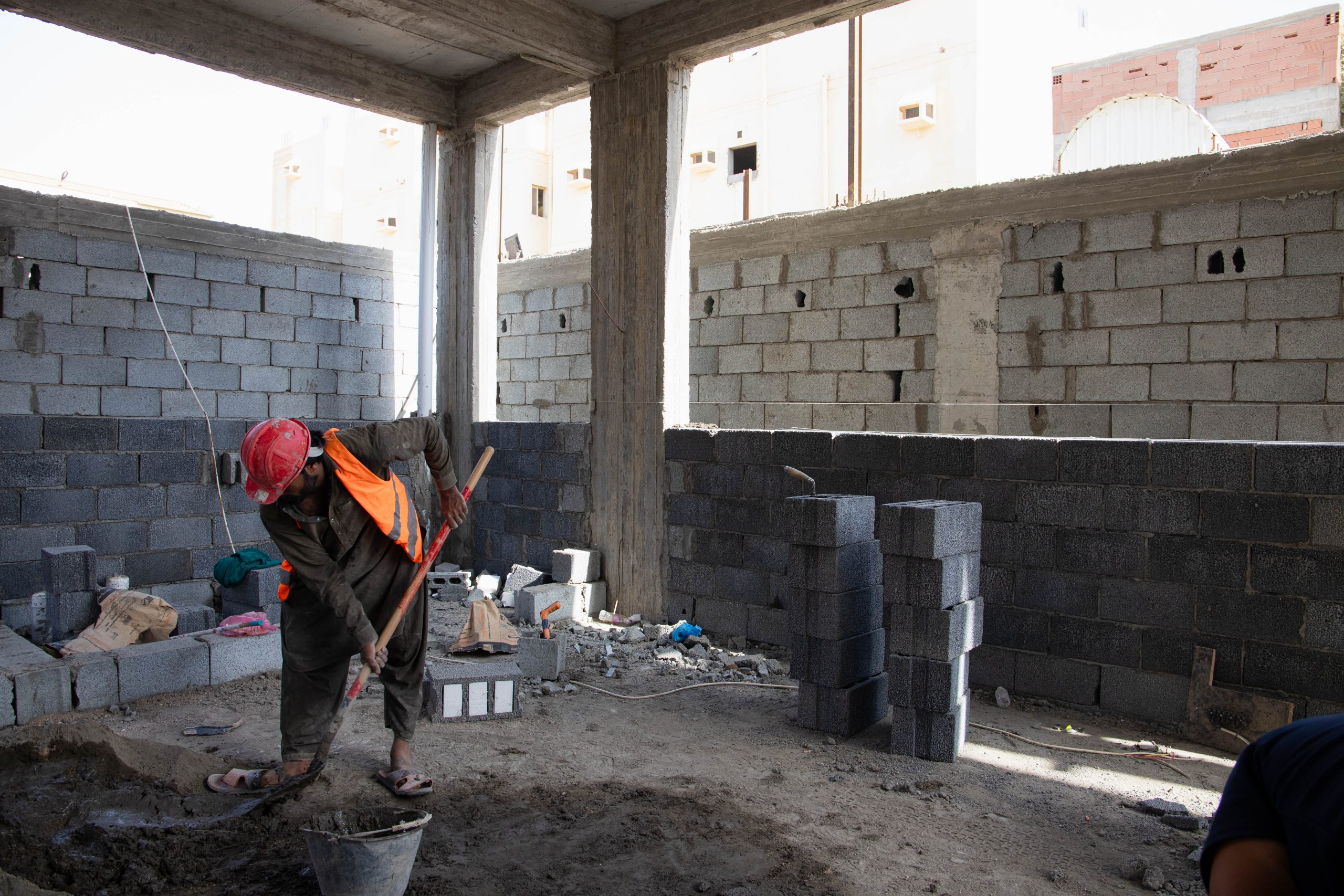 د / عاصم جيلاني